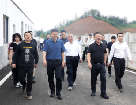 湖南农业发展投资集团一行来区调研永福猪场项目