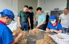 李晓彤调研园区产业项⽬建设⼯作