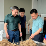 李晓彤调研园区产业项⽬建设⼯作