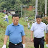 渌口区委办机关党支部开展“砍青、巡堤、防洪查险”主题党日活动