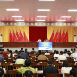 渌口区召开2025年上半年规模工业企业发展暨统计培训会