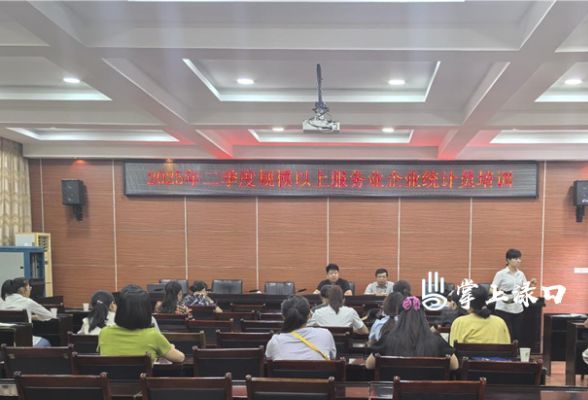 渌口区举办2025年规上服务业统计业务培训会