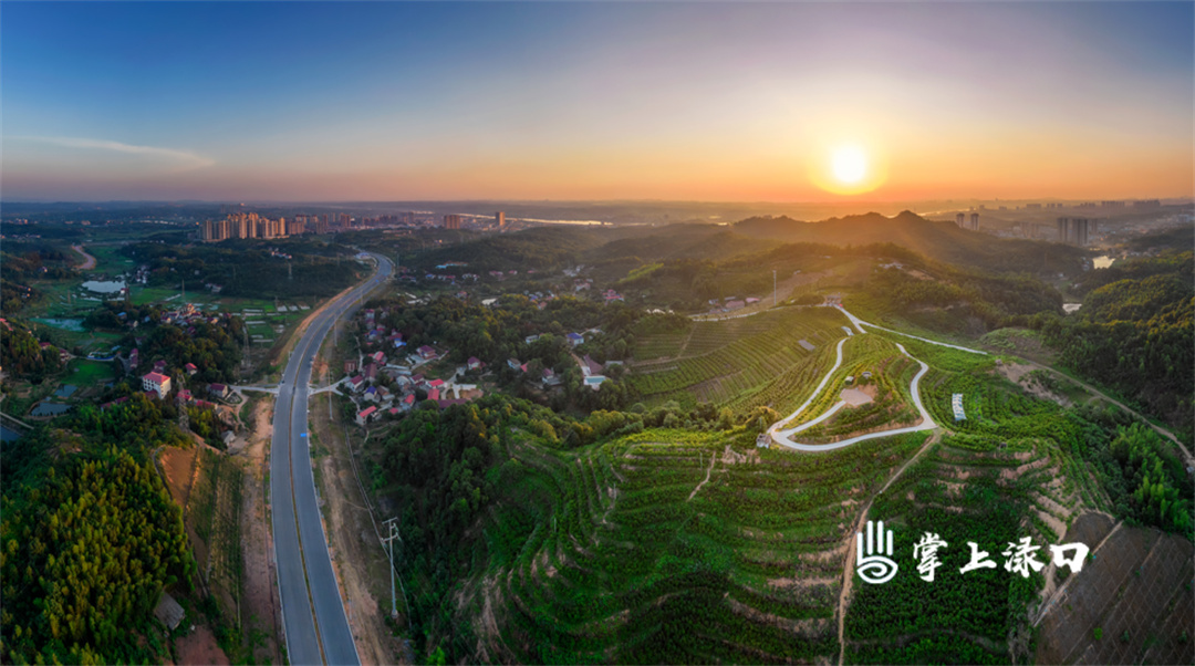 【图片：文禹  文字：刘慧】
杨梅山蟠桃园层叠的果树在夕照中轮廓分明，农人归家的剪影点缀其间，这是大地在落幕前，对辛劳最甜蜜的回馈。