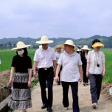 省农业农村厅党建课题调研组来渌口区开展实地调研
