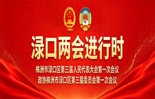 2026·渌口两会进行时