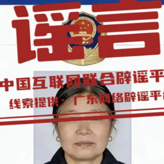 【辟谣侠盟】网传“梅姨”照片不实，非警方发布（2026·03·24）