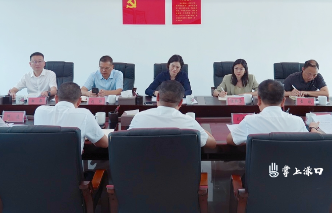 赖晓智到南洲镇调研