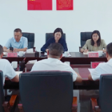 赖晓智到南洲镇调研