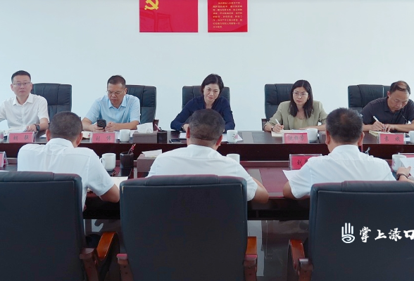 赖晓智到南洲镇调研