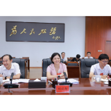 【聚焦党代会】赖晓智参加区第三次党代会第一代表团讨论