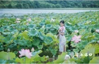 美在当 “夏”，一起来渌口 “荷” 照