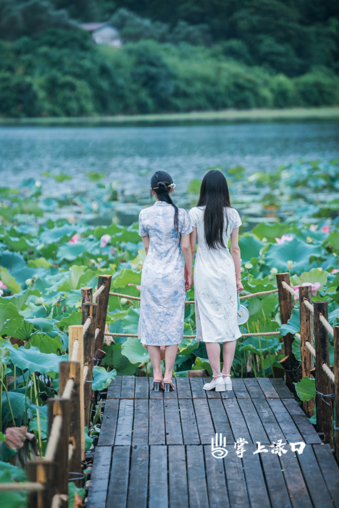 【图：文禹  文：刘慧】
来这里赏花纳凉、漫步闲游，沉浸式感受荷塘清风与仲夏诗意，与满池清雅荷韵邂逅，定格专属夏日的绝美“荷”照。