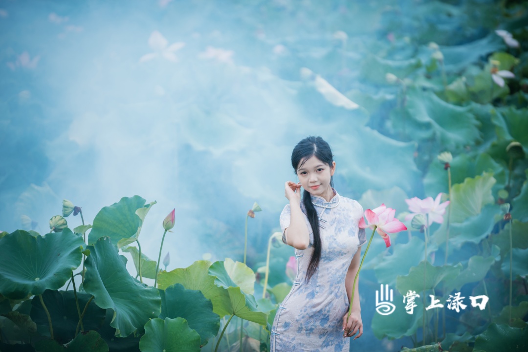【图：文禹  文：刘慧】
水光潋滟，花叶相依，每一处角落，都是浑然天成的夏日画卷。