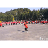 湘骏学子：武术研学显风采