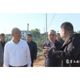 欧程远一行来渌口区调研供销社综合改革工作