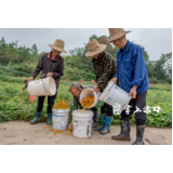 全国“一村一品”！红了黄辣椒产业，蓝了天空，美了河包村