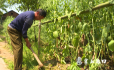 渌口区：扶贫路上一家老小向前冲