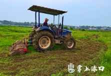 南洲力量为粮食生产“保驾护航”