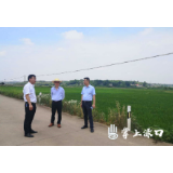 刘克胤到古岳峰镇督查粮食生产工作