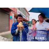 “千企帮千村”，爱心企业到株洲朱亭镇免费送鸡苗