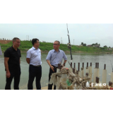刘克胤调研渌江水域综合治理工作