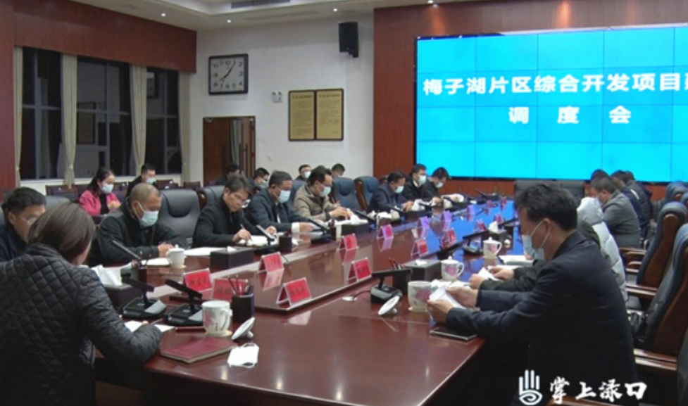 渌口区召开梅子湖片区综合开发项目建设调度会