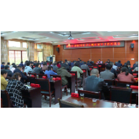 渌口区召开迎接国家卫生城市复审工作推进会