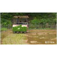 渌口区：“铁牛”助耕 效率“飞升”
