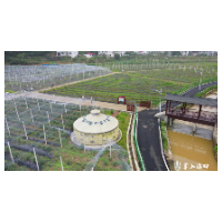 尝鲜去！朱亭鲜果小镇的蓝莓熟啦