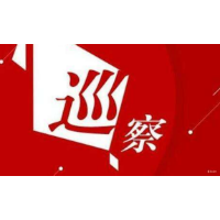中共株洲市渌口区职业中等专业学校总支部委员会关于巡察整改情况的通报