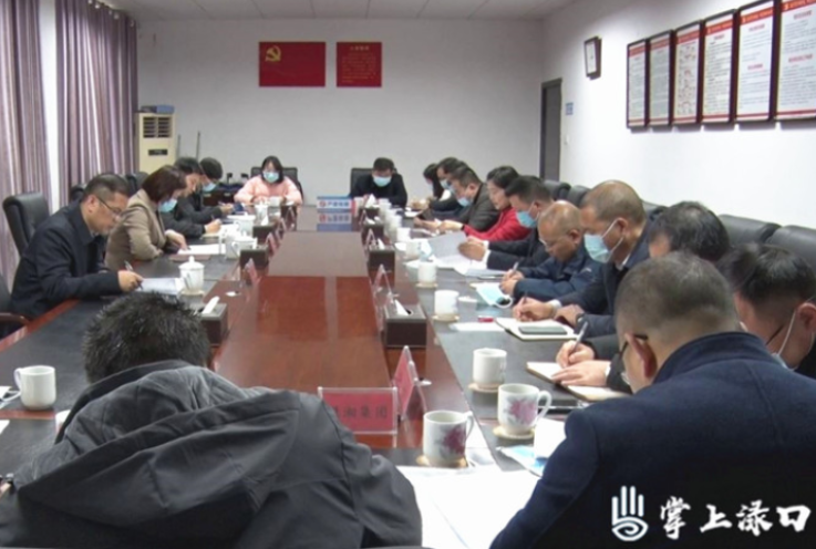 渌口区召开主要经济指标暨一季度开门红准备工作调度会