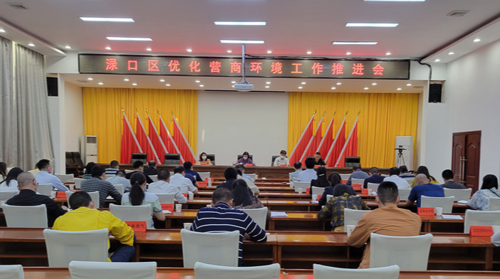 渌口区召开优化营商环境工作推进会