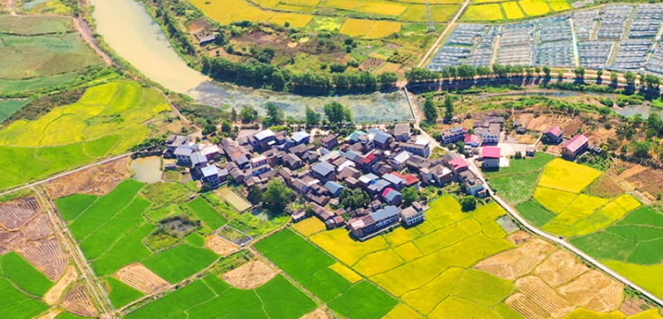 【年终盘点·成就篇】2022，湖南拾级而上