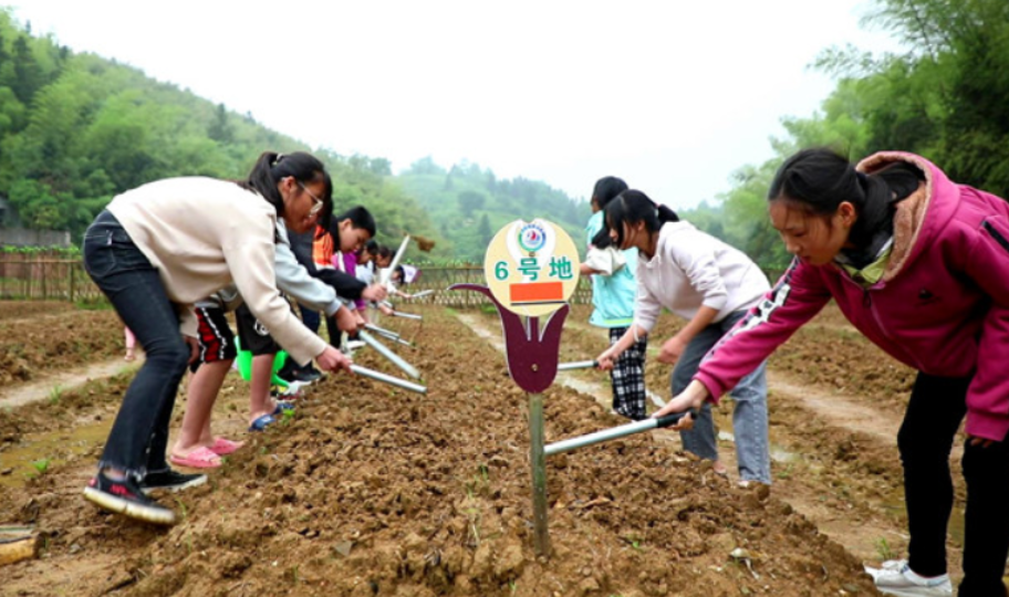 【教育振兴】龙门镇太湖中学：学生种地 校园变“勤耕园”
