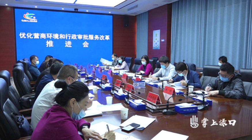 渌口区召开优化营商环境和行政审批服务改革推进会