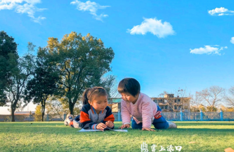 美术、书法、摄影，渌口区教育系统艺术风采第4期集中展示