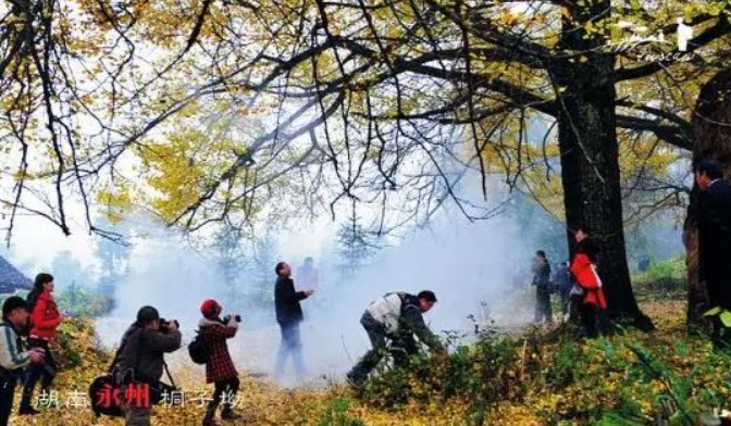 “光影湘村”湖南省微电影大赛开赛啦!作品征集至10月16日