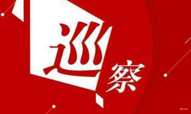 中共株洲市渌口区渌口镇委员会关于巡察整改情况的通报