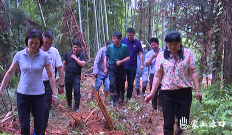 赖晓智督导防汛备汛及地质灾害隐患排查工作
