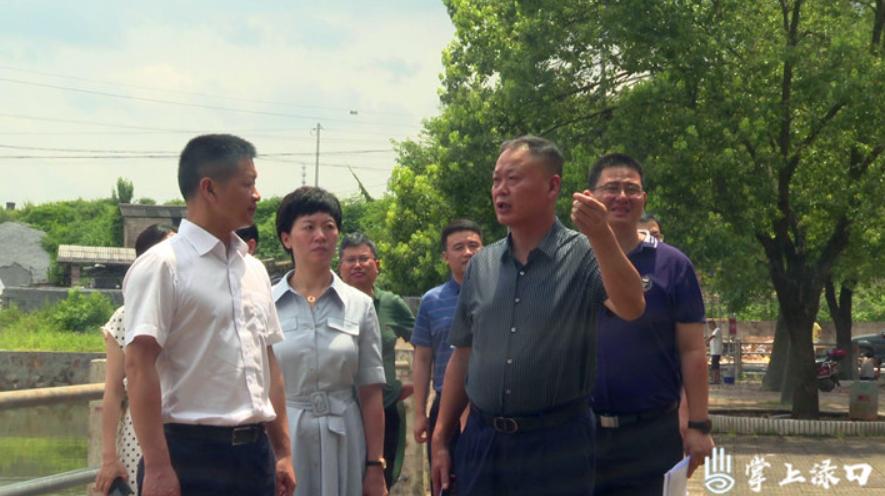 蒋湘晖一行来渌口区调研朱亭古镇民宿项目