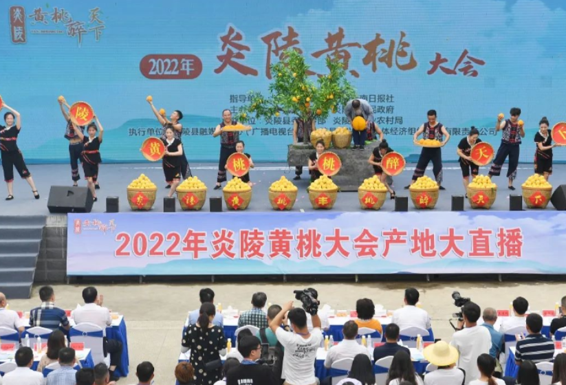 芙蓉国评论丨炎陵黄桃的香 乡村振兴的甜