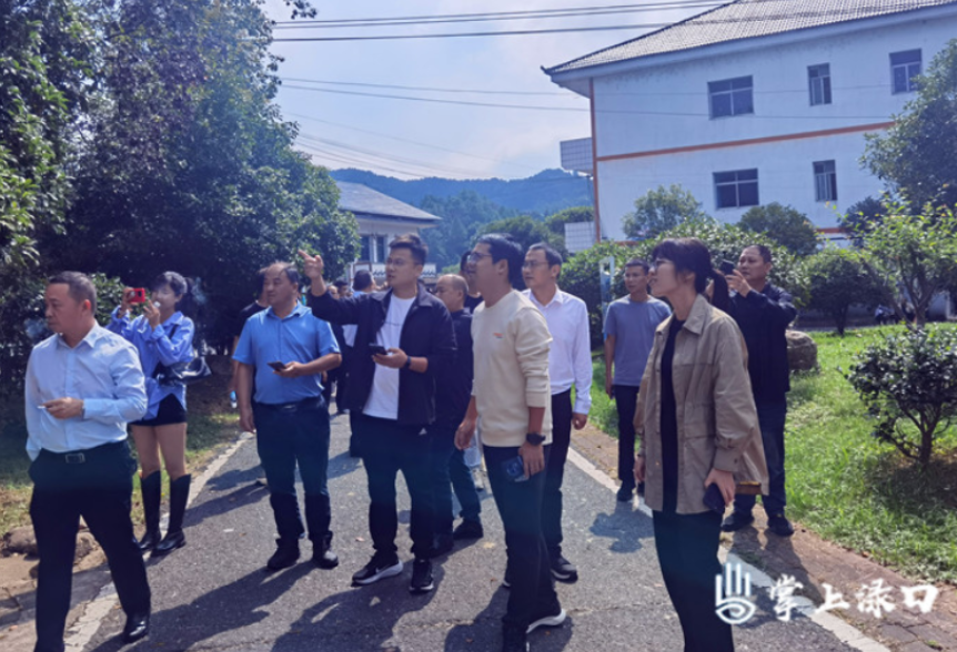 南洲镇：参观考察拓思路 交流学习促提升