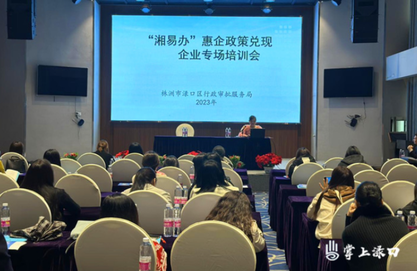 渌口区组织企业实现政策兑现一网通办