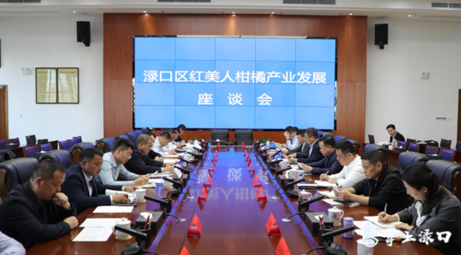 渌口区召开座谈会专题研究红美人柑橘产业发展