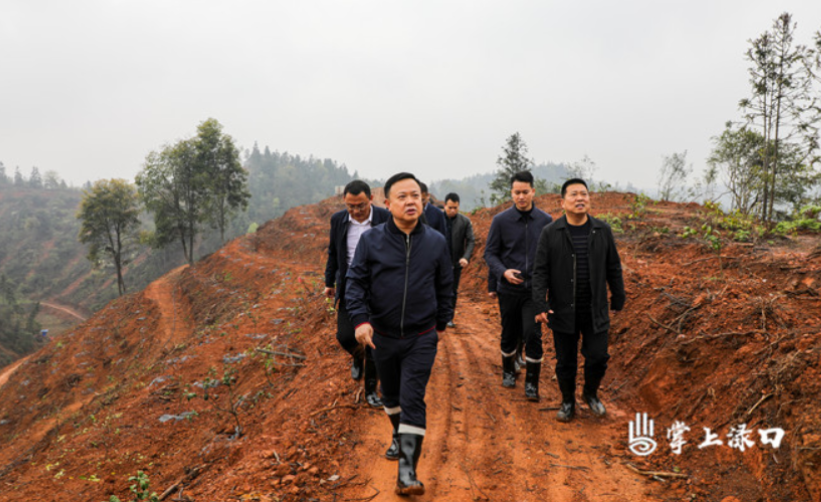 李晓彤到淦田镇调研近期重点工作