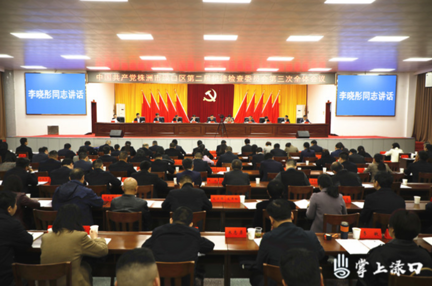 渌口区第二届纪委第三次全体会议召开