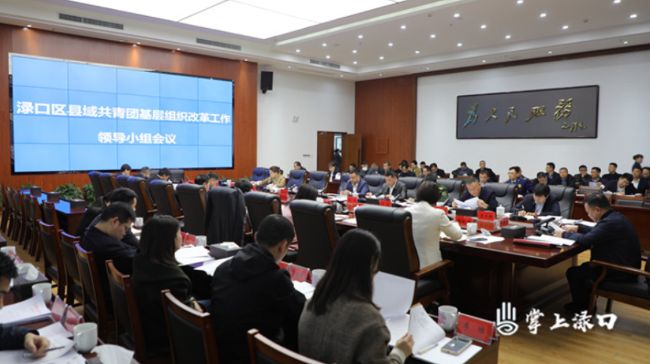 渌口区召开县域共青团基层组织改革工作领导小组会议