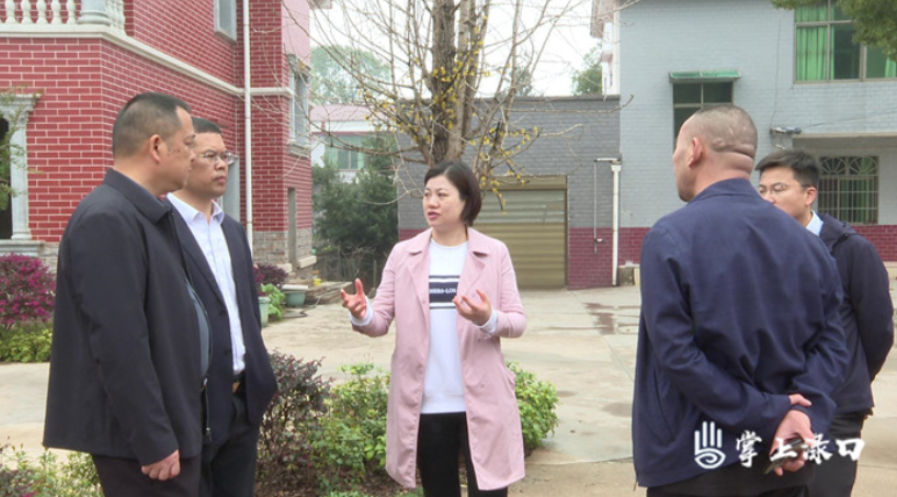 赖晓智到南洲镇调研乡村产业发展工作
