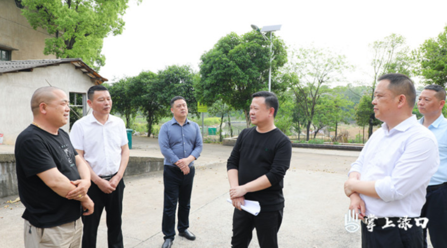 李晓彤到南洲镇督导粮食安全工作