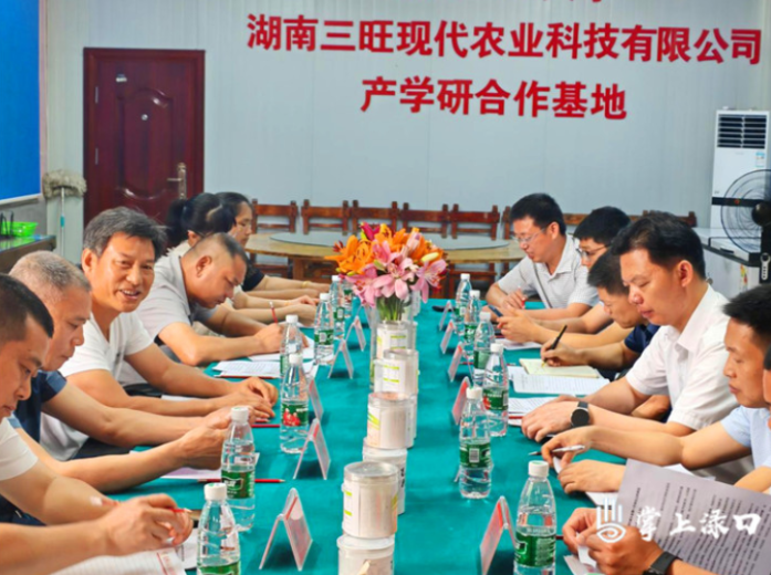 【大兴调查研究 共建青春渌口】区二届人大古岳峰镇代表小组调研三旺村百合花产业